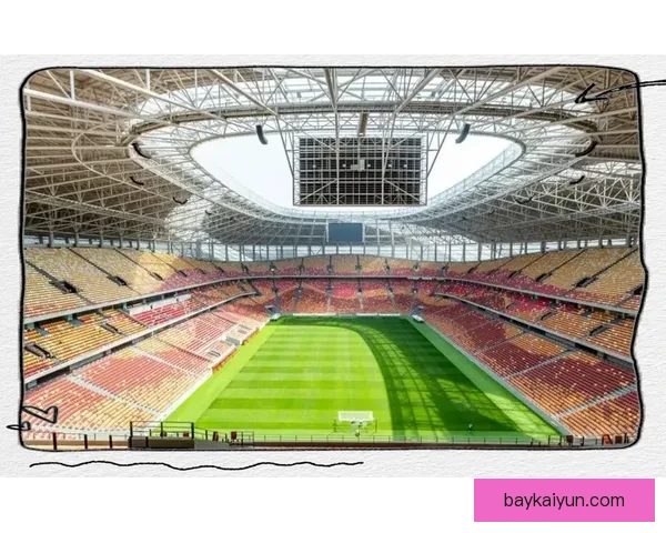 球场设施介绍逐渐丰富，提升观众体验成未来趋势